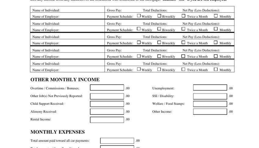 www seterus com mortgage List any income from any members, Name of Individual, Name of Employer, Name of Individual, Name of Employer, Name of Individual, Name of Employer, Name of Individual, Name of Employer, Name of Individual, Name of Employer, OTHER MONTHLY INCOME, Overtime  Commissions  Bonuses, Other Jobs Not Previously Reported, and Child Support Received fields to fill out