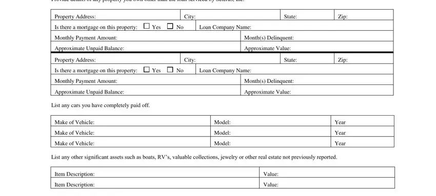 www seterus com mortgage Provide details of any property, Property Address, City, State, Zip, Is there a mortgage on this, Loan Company Name, Monthly Payment Amount, Approximate Unpaid Balance, Months Delinquent, Approximate Value, Property Address, City, State, and Zip blanks to fill out