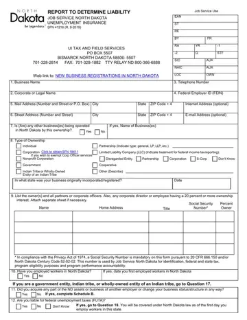 Sfn 41216 Form Preview