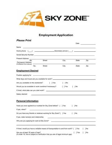 Sky Zone Job Application Form Preview