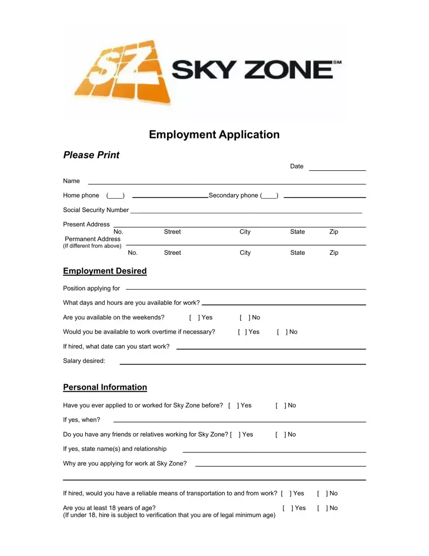 Sky Zone Application first page preview