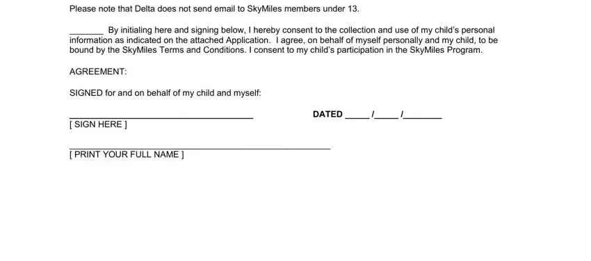 Filling in delta skymiles child application part 4