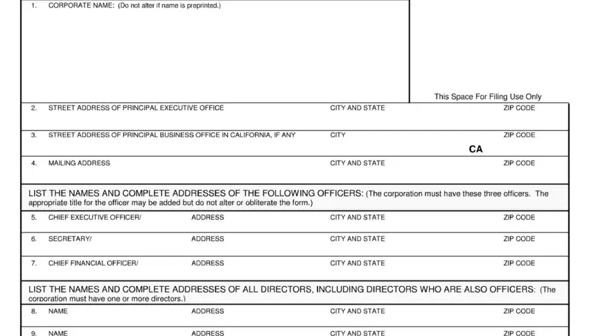 domestic stock corporation form spaces to fill in