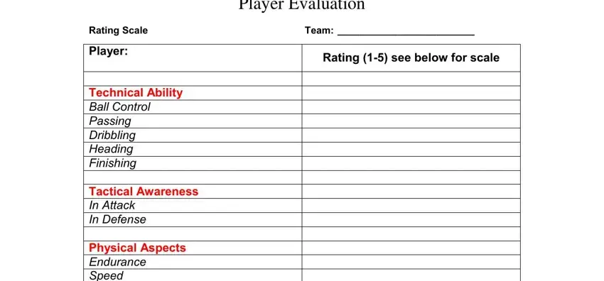 youth soccer player evaluation form pdf fields to fill in