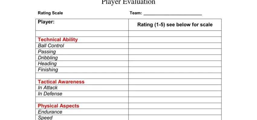 Soccer Player Evaluation Form Fill Online, Printable, Fillable, Blank ...