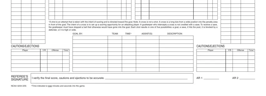 part 2 to entering details in printable soccer stat sheet