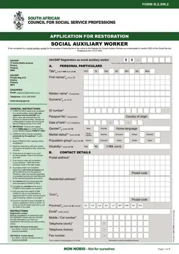 Social Auxiliary Work Form Preview