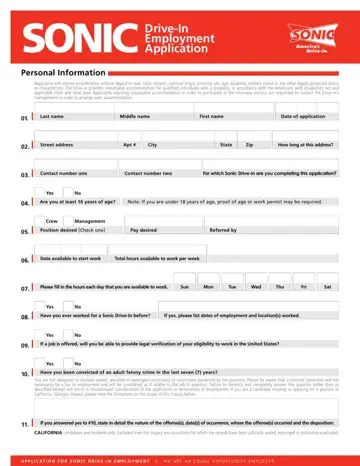Sonic Job Application Form Preview