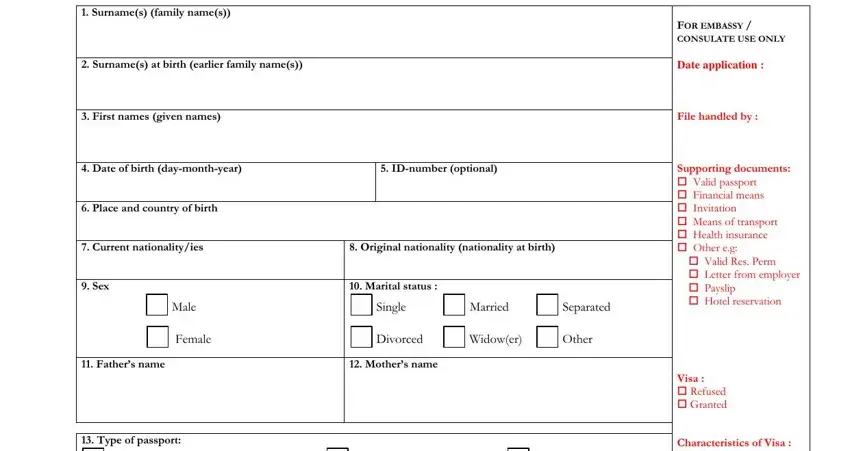 stage 1 to filling in spain visa application form download