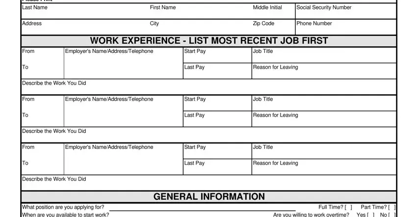 Spanish Application Employment ≡ Fill Out Printable PDF Forms Online