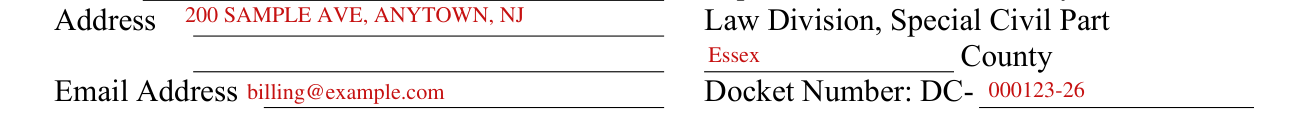 CN 10542 example filled out, county and Docket Number
