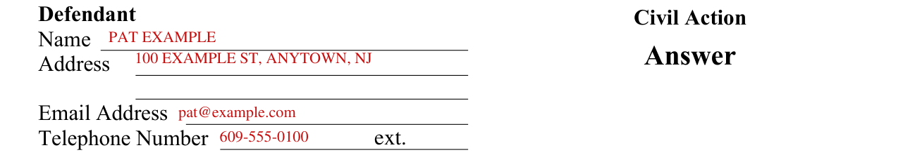 CN 10542 example filled out, defendant information