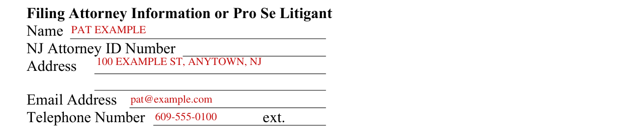 CN 10542 example filled out, filing Attorney Information or Pro Se Litigant