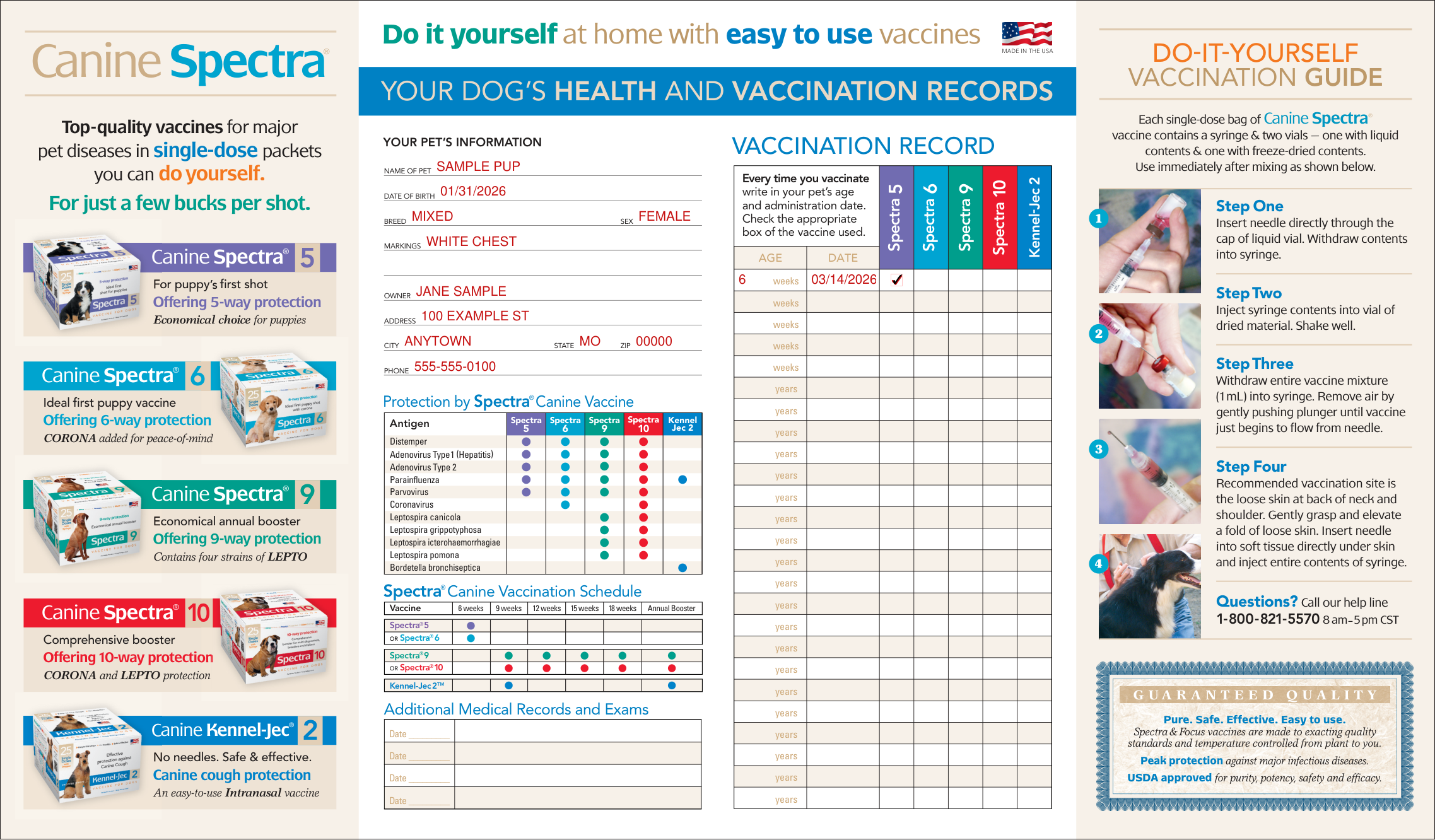 Health & Vaccination Record for dogs example filled out, example: a puppy gets a first shot