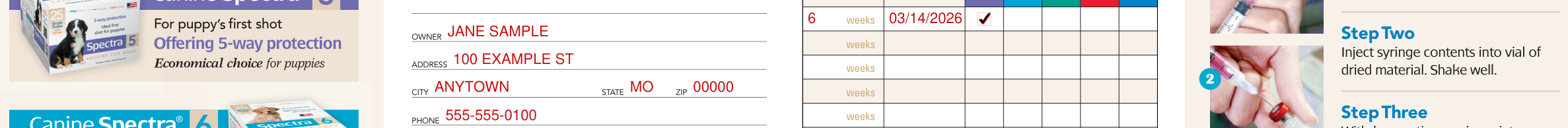 Health & Vaccination Record for dogs example filled out, owner, address, city, state, zip and phone