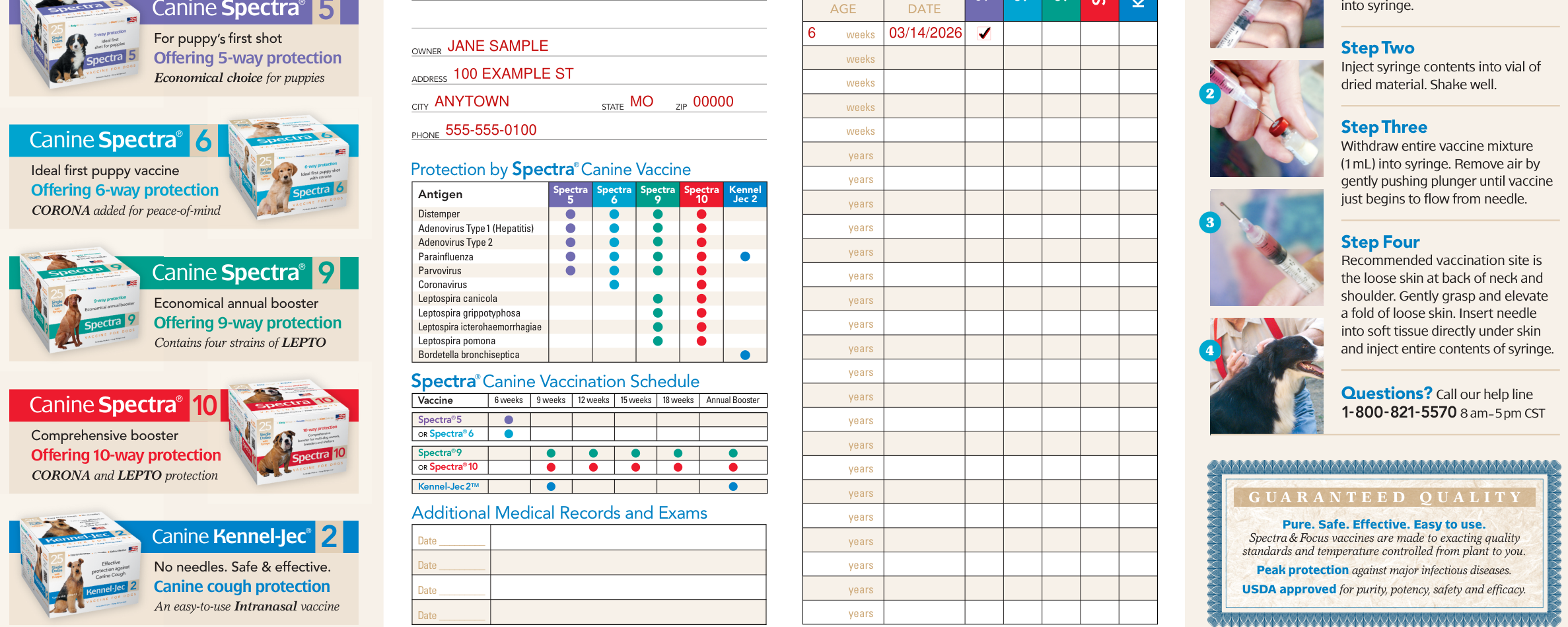 Health & Vaccination Record for dogs example filled out, vaccination record
