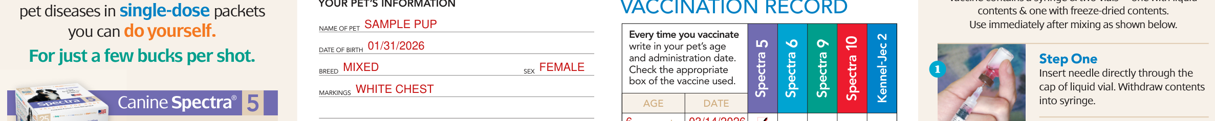 Health & Vaccination Record for dogs example filled out, your pet's information