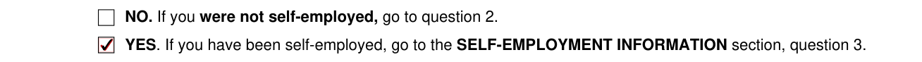 Form SSA-820-BK example filled out, self-employment activity