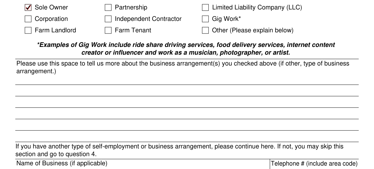 Form SSA-820-BK example filled out, what best describes your type of self-employment/business arrangement? (Check One)