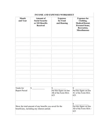 SSI Budget Worksheet Form Preview