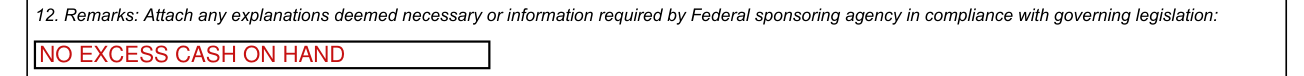 Standard Form 425 example filled out, 12. Remarks