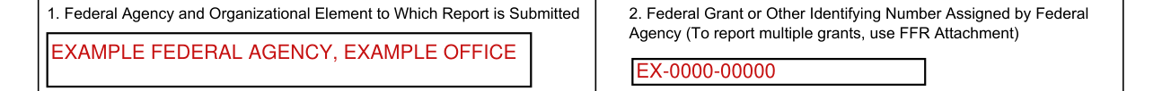 Standard Form 425 example filled out, 2. Federal Grant or Other Identifying Number Assigned by Federal Agency
