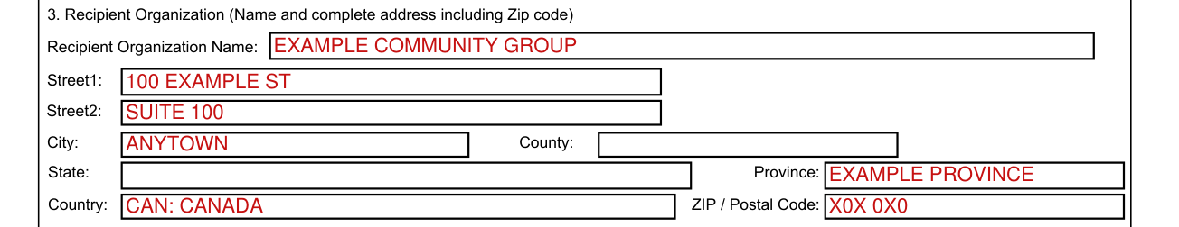 Standard Form 425 example filled out, 3. Recipient Organization