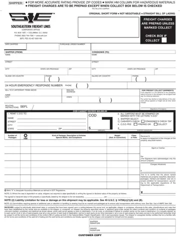 Standard Truckload Bill Of Lading Form Preview