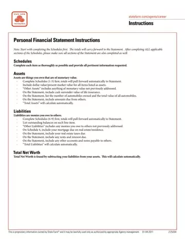 State Farm Personal Financial Statement Preview