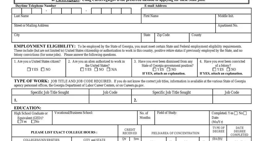 employment application georgia spaces to fill in