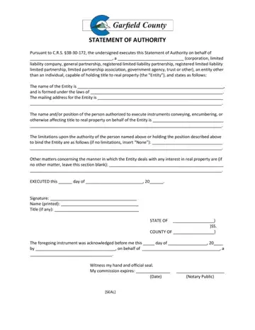 Statement Authority Template Form Preview