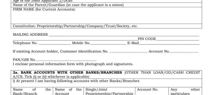 Entering details in online opening bank account syndicate stage 2