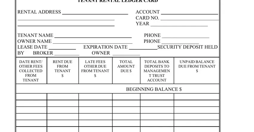 stage 1 to filling out rent ledger template