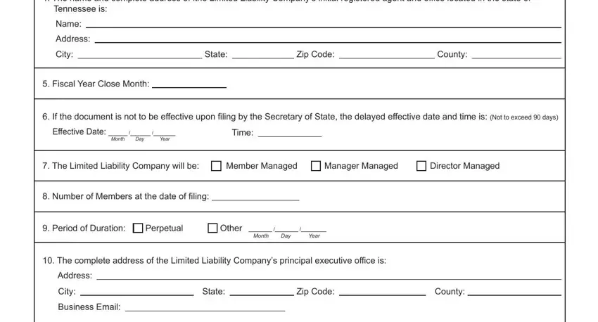 stage 2 to completing Tennessee Articles Organization