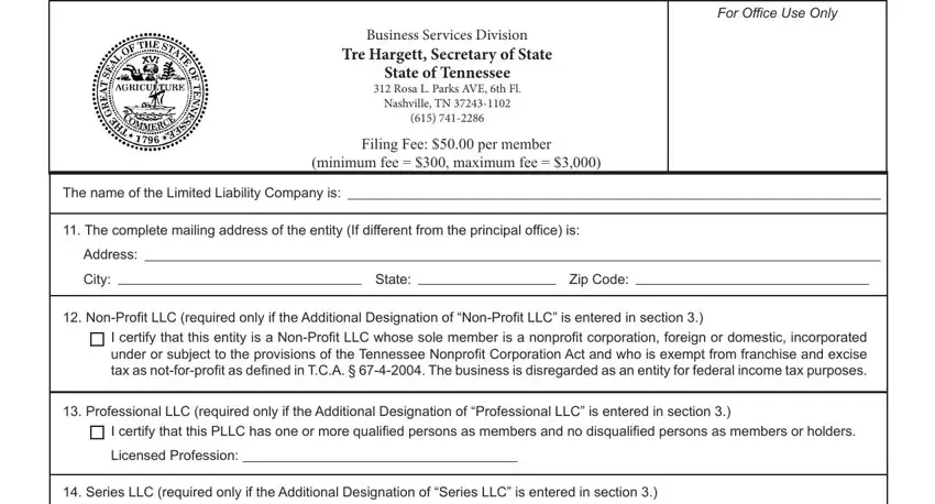 Entering details in Tennessee Articles Organization stage 3