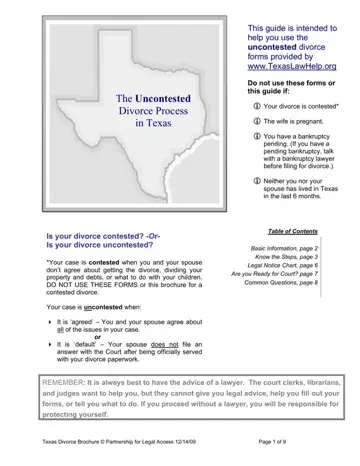 Texas Divorce Form Preview