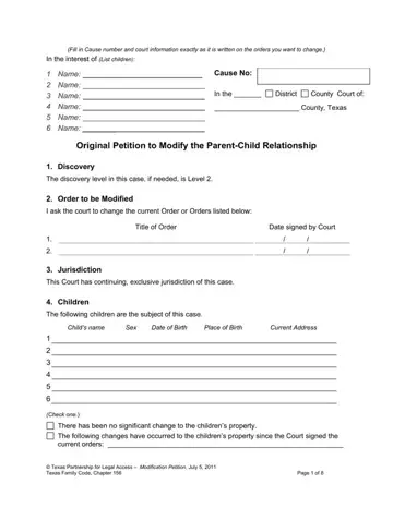 Texas Petition Modify Form Preview