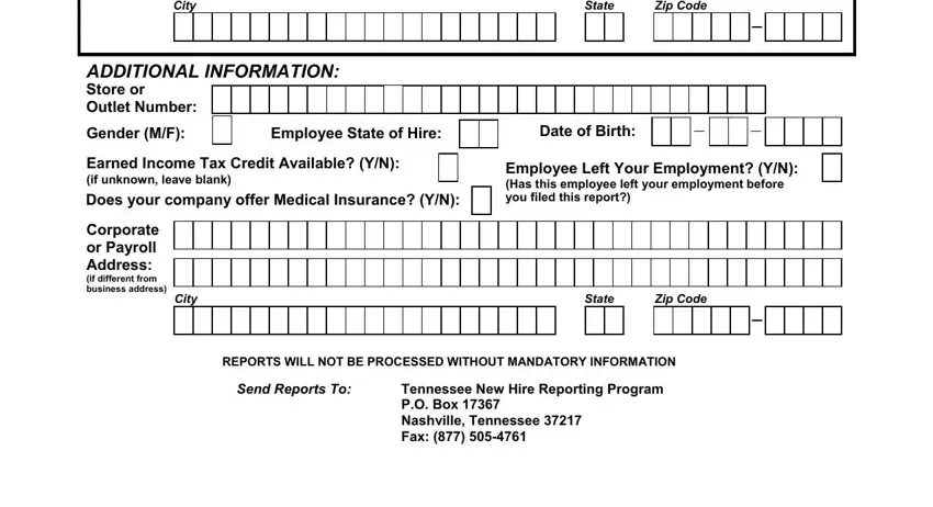 tennessee reporting form City, State, ZipCode, GenderMF, EmployeeStateofHire, DateofBirth, City, State, ZipCode, and SendReportsTo fields to fill