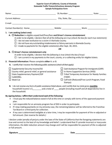 Traffic Ticket Amnesty Form Preview