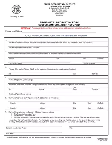 Transmittal Form 231 Preview