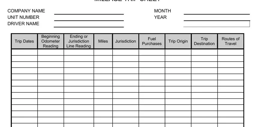 vehicle trip sheet format