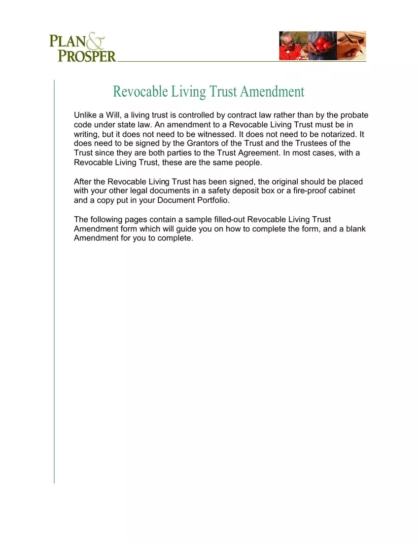 Trust Amendment Form first page preview