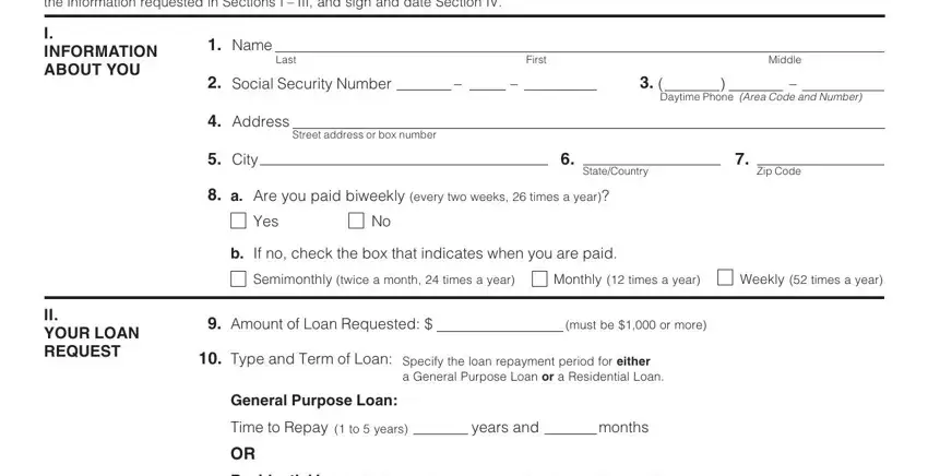 example of gaps in tsp loan application form