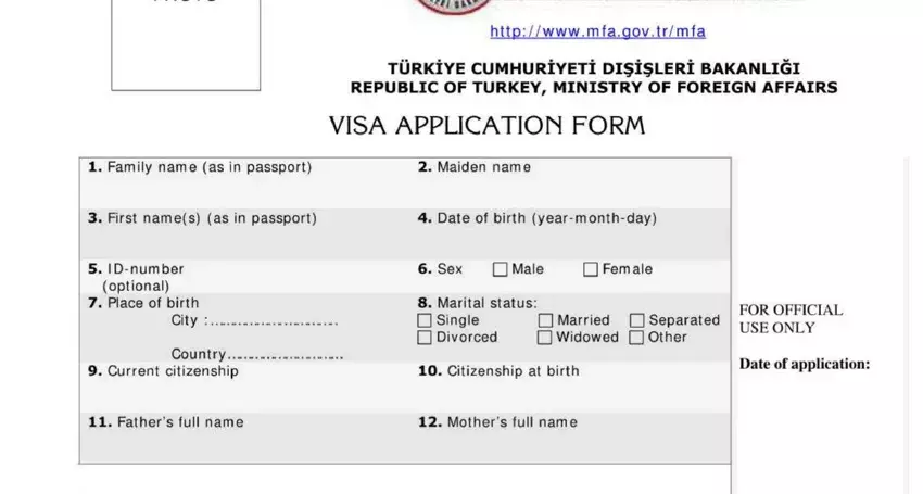 from visa turkey spaces to fill in