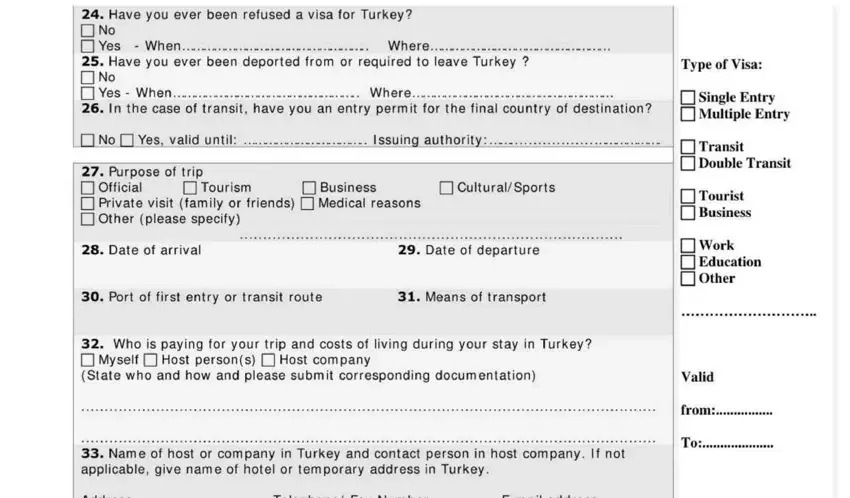 stage 4 to entering details in from visa turkey