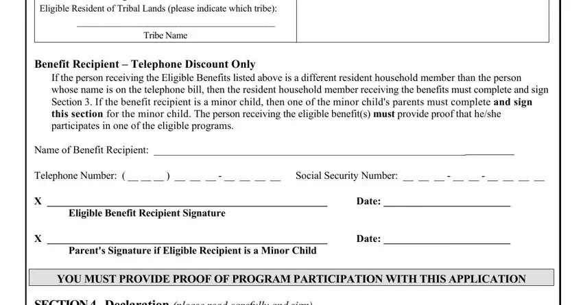 lite up texas org Enrollment in any of the programs, Benefit Recipient  Telephone, If the person receiving the, Name of Benefit Recipient, Telephone Number, Date, Eligible Benefit Recipient, Date, Parents Signature if Eligible, YOU MUST PROVIDE PROOF OF PROGRAM, and SECTION   Declaration please read fields to insert