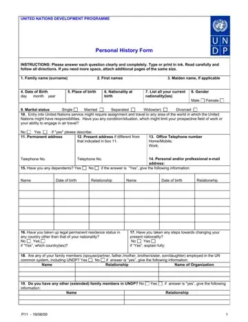 Undp Personal History Form Preview