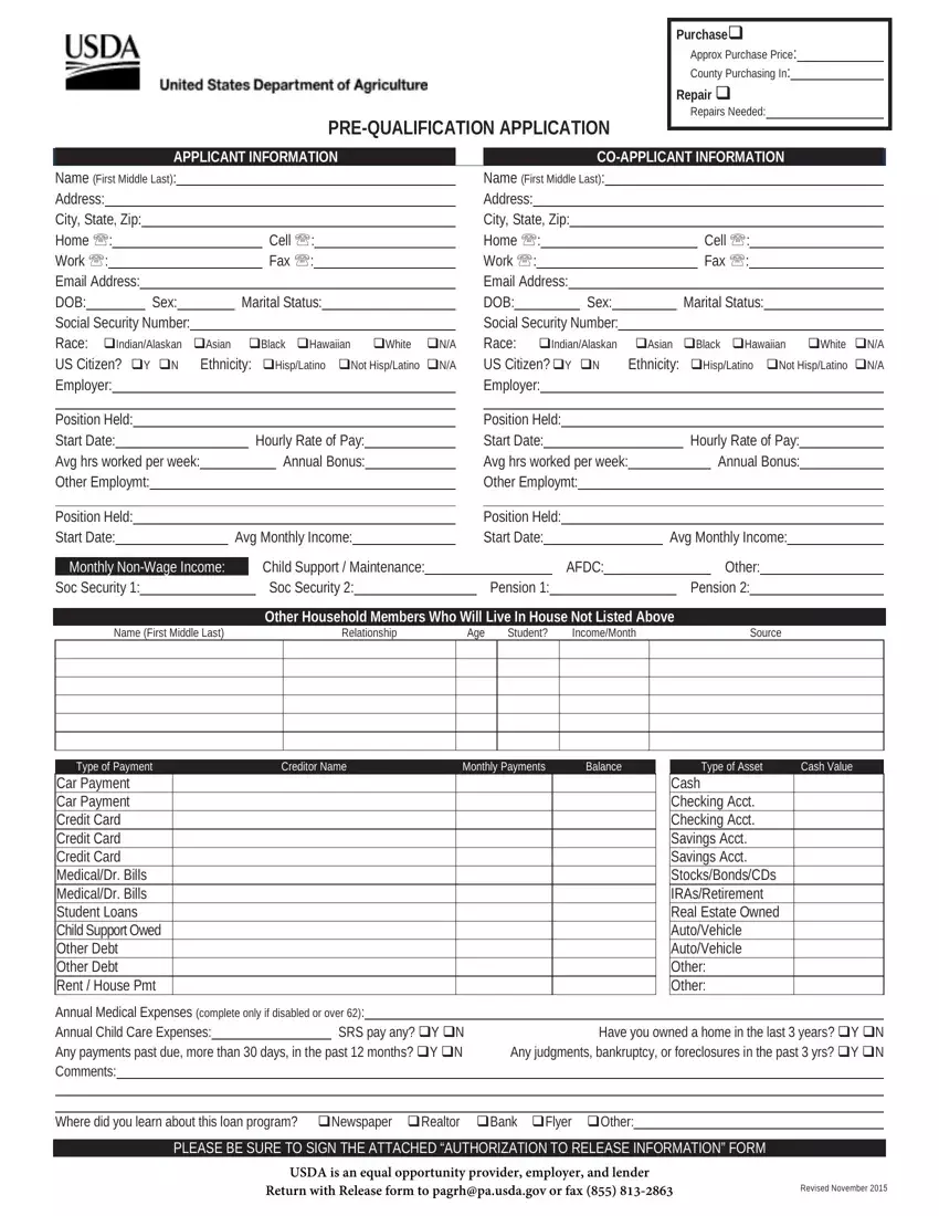 Usda Pre Qualification Form first page preview