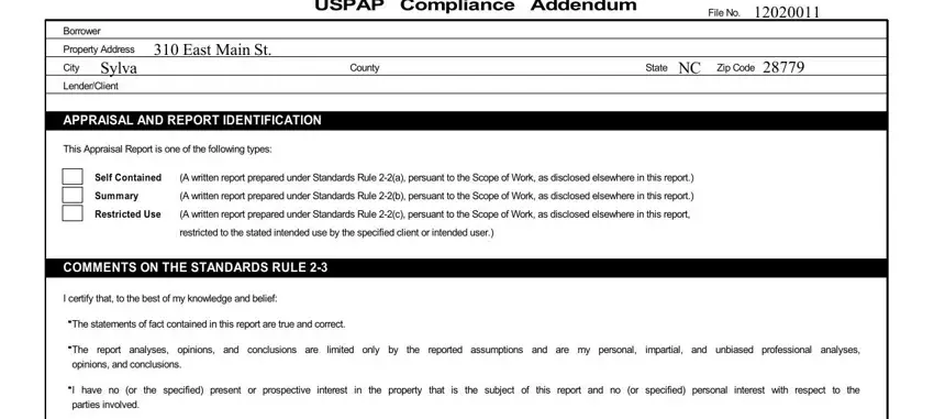 uspap compliance addendum gaps to fill in