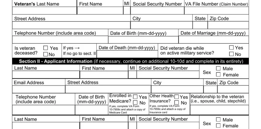 portion of blanks in veterans affairs champva